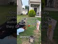 I SEE LIFE DIFFERENT BECAUSE OF THEM🥹❤️…#watchnow #trending #lol #exploremore #viralshorts #fyp