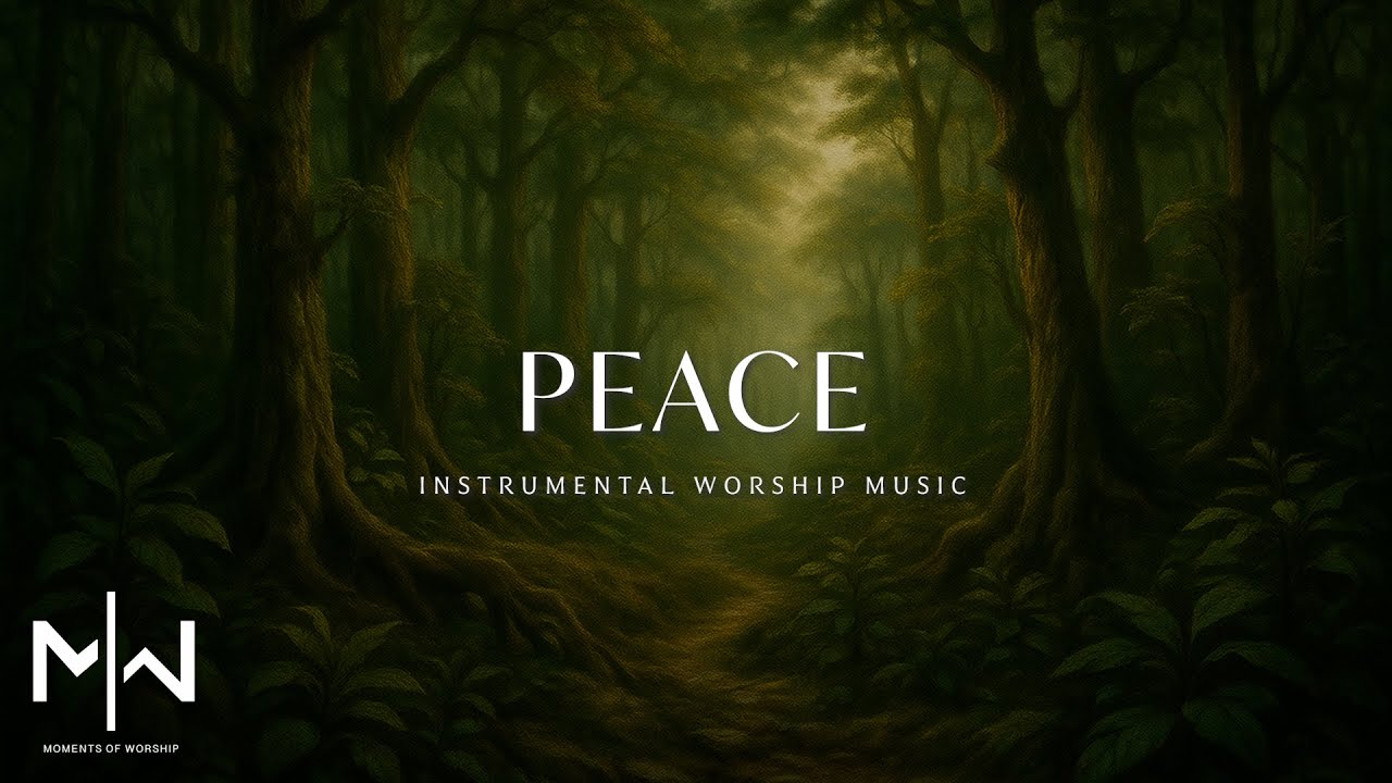 1 Hour Soaking Worship Piano | Instrumental Music for Deep Prayer - YouTube