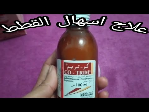 علاج الاسهال عند القطط دون الذهاب الى الطبيب