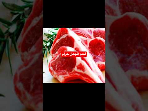 حرام أكل لحم الجمل اكسبلور قصص ترند  2022