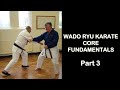 Wado ryu karate fundamentals part 3  nagasu inasu  noru