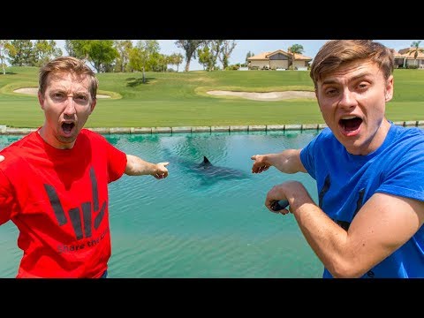 FIGHTING POND MONSTER (SECRET MEETING)