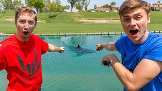 I fought the pond monster! chad wild clay helped me fight monster!!
today carter sharer and went out to where lizzy a...