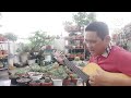 HÀ TIÊN - Guitar Cover by Lộc Miền Tây