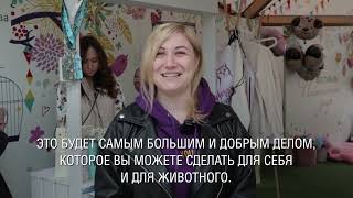 «Пасхальный дар»: выставка животных на Цветном бульваре