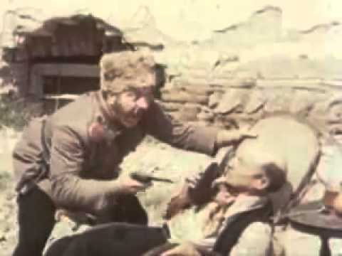 არ მომეკარო,შაკიკი მაქვს