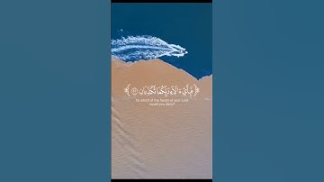 قف اسمع القران الكريم وارح قلبك واكتب في التعليقات سبحان الله
