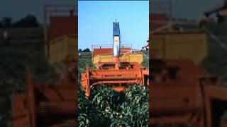 Gehl vs Fox Green Chopping 1955 #farming #agriculture #history #1950s #dairyfarm