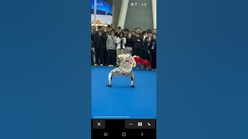 Robots dance #ai #robotics #nextgenai