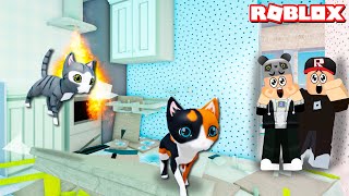 Kötü Kedi Olup Her Yeri Dağıtıyoruz!! - Panda ile Roblox Bad Cat