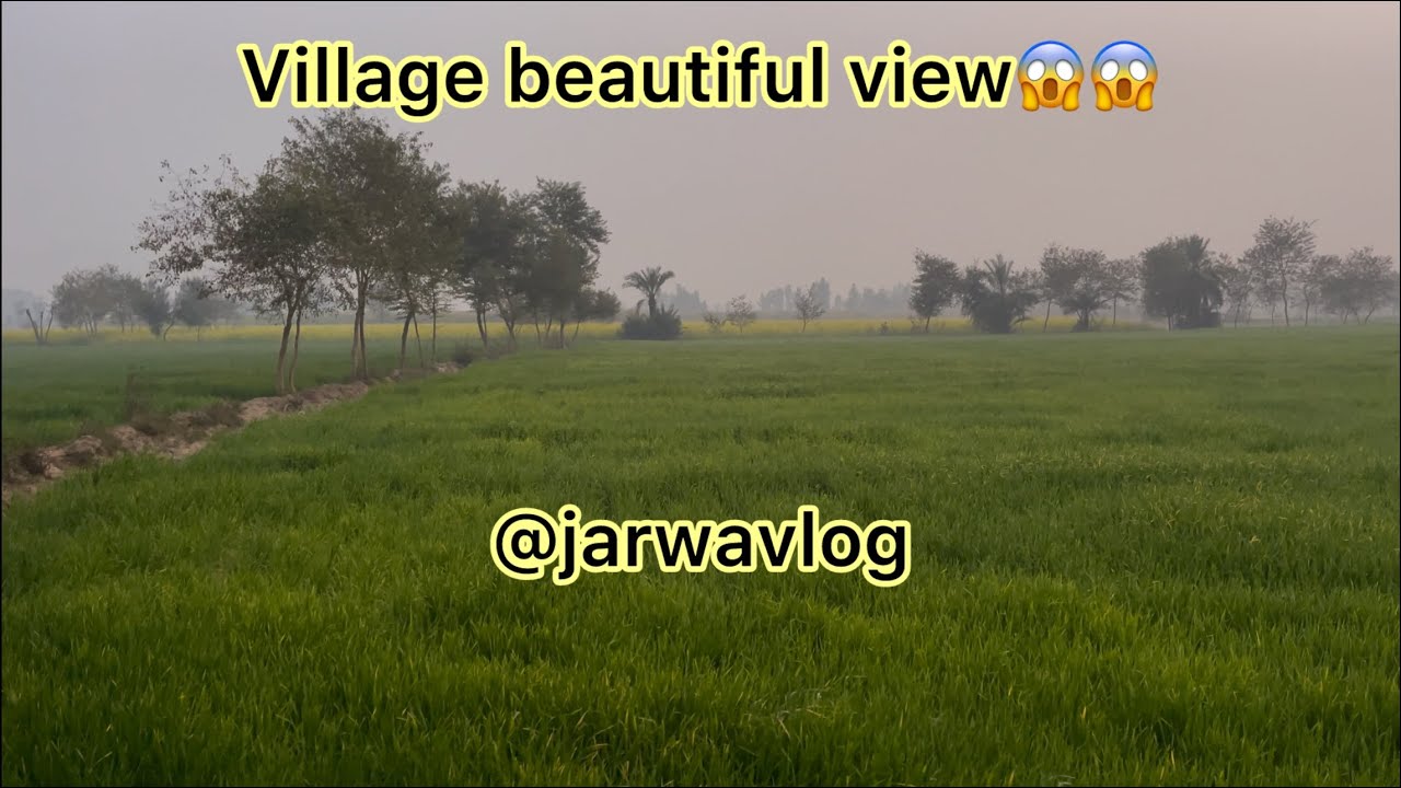 Village is a beautiful/Gaon Bohut￼ khob Surat Ha 😱😱@Jarwavlog 