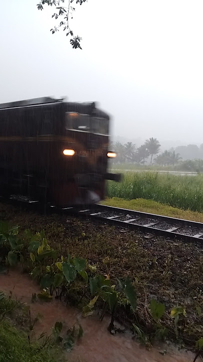 wassema pallam bahina polgahawela slow kella🤭🙈🥵❤️‍🔥 #trending #train #expresstrain #railtrack