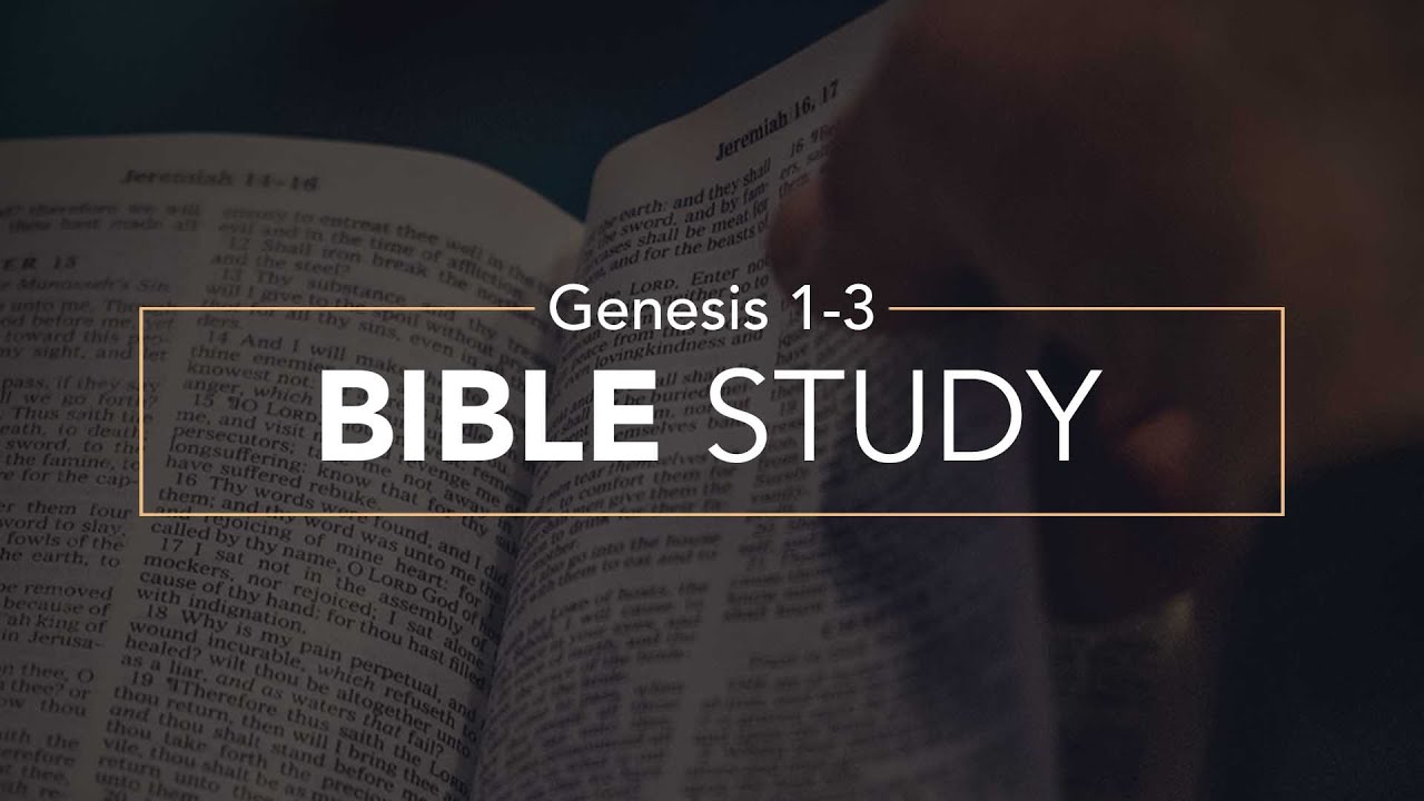 Verse by verse bible study genesis 1 - nerymatrix