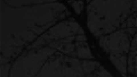 1nonly x lilgoddan - run