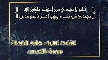 سورة القصص..القارئ الشيخ هاني الشحات..حفظه الله