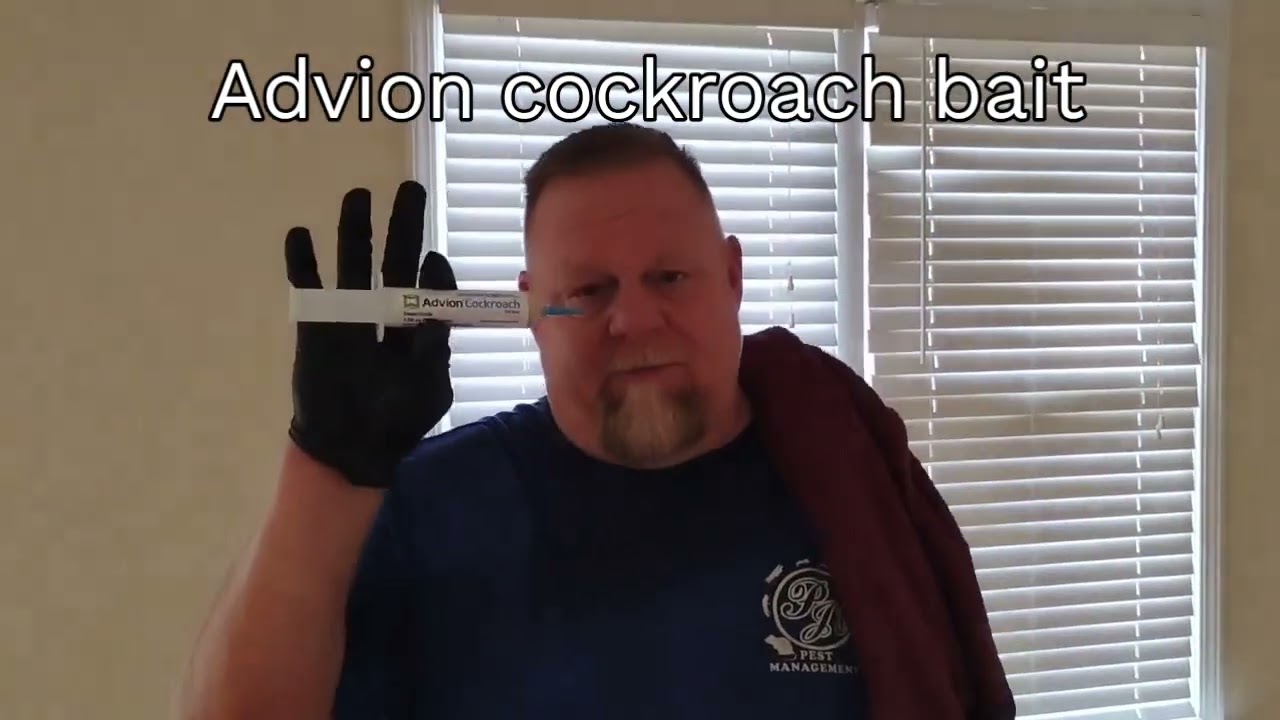 How a pro kills roaches !