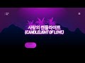 사랑의 캔들라이트 Candlelight of Love