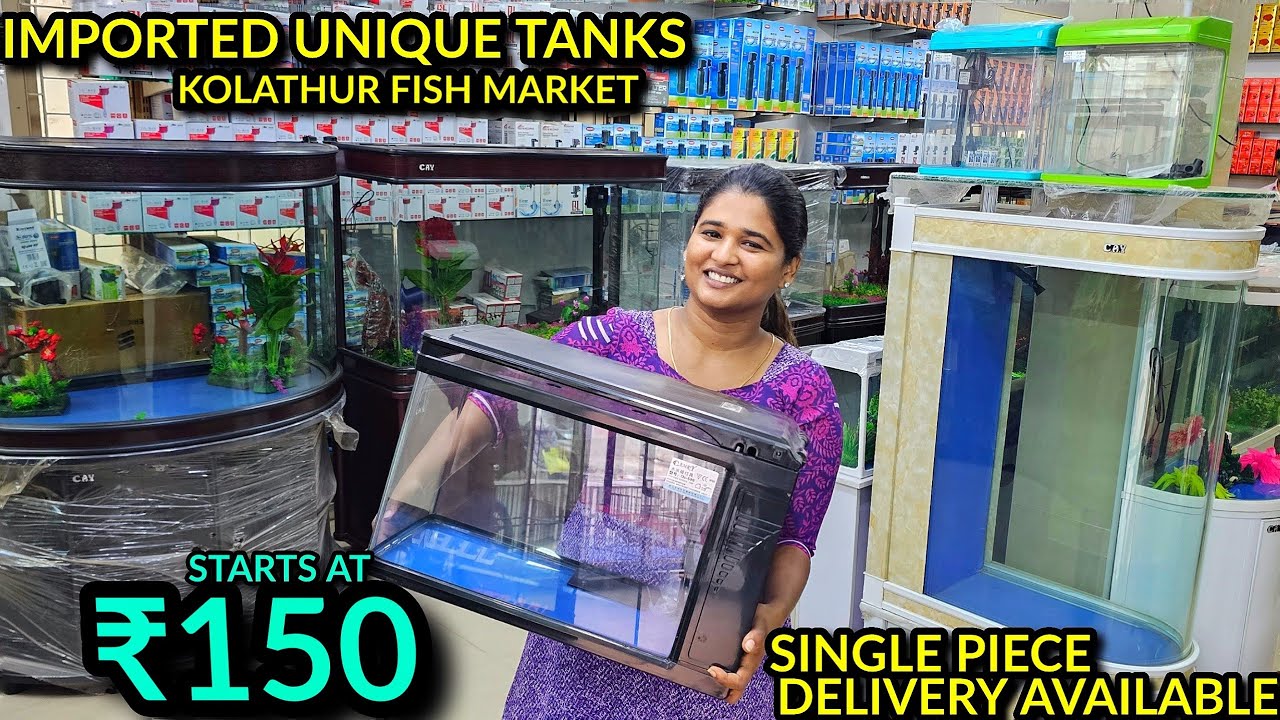 ₹150 முதல் 55k வரை Imported unique Fish Tank Kolathur Fish Market
