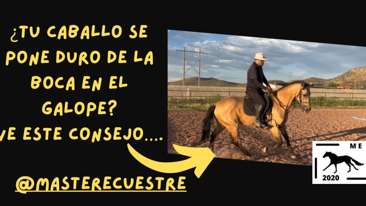 ¿Tu caballo se pone duro de la boca en el galope?