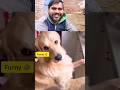 50-50%🐕🦺🤣😂 #hindimemes#funnyvideo #reelitfeelit#explorepage#trendingreels #reelsviral