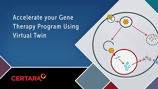 Accelerate your gene therapy program using Virtual Twin®