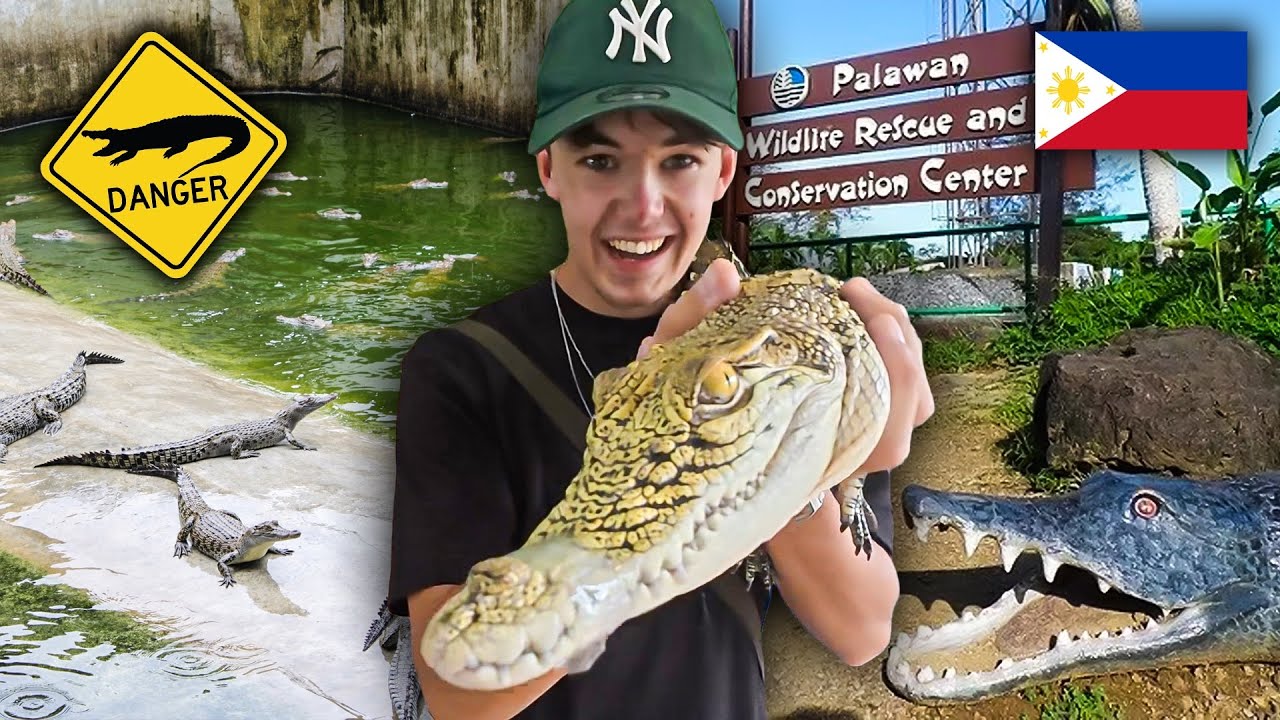 I held a SALTWATER CROCODILE | Philippines 🐊🇵🇭
