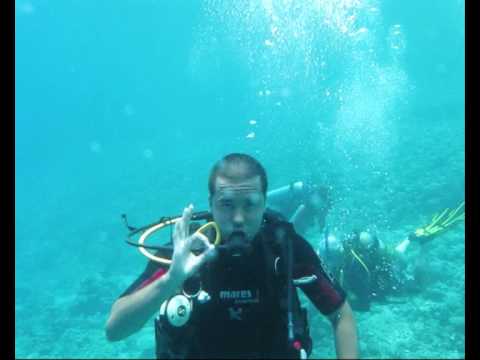 Plonge Mer Rouge - Egypte partie I *Seiya video*
