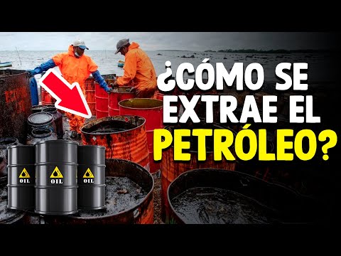 Cómo Se Extrae