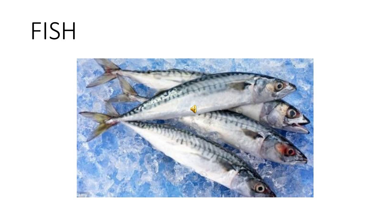 Lecture of Dr Iram Quershi on Topic  Meat Hygiene and Sanitation of Eating Places