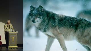 Orville Bach - 50 Years in Yellowstone