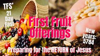 Daniel s fast Prayer Guide Day 1