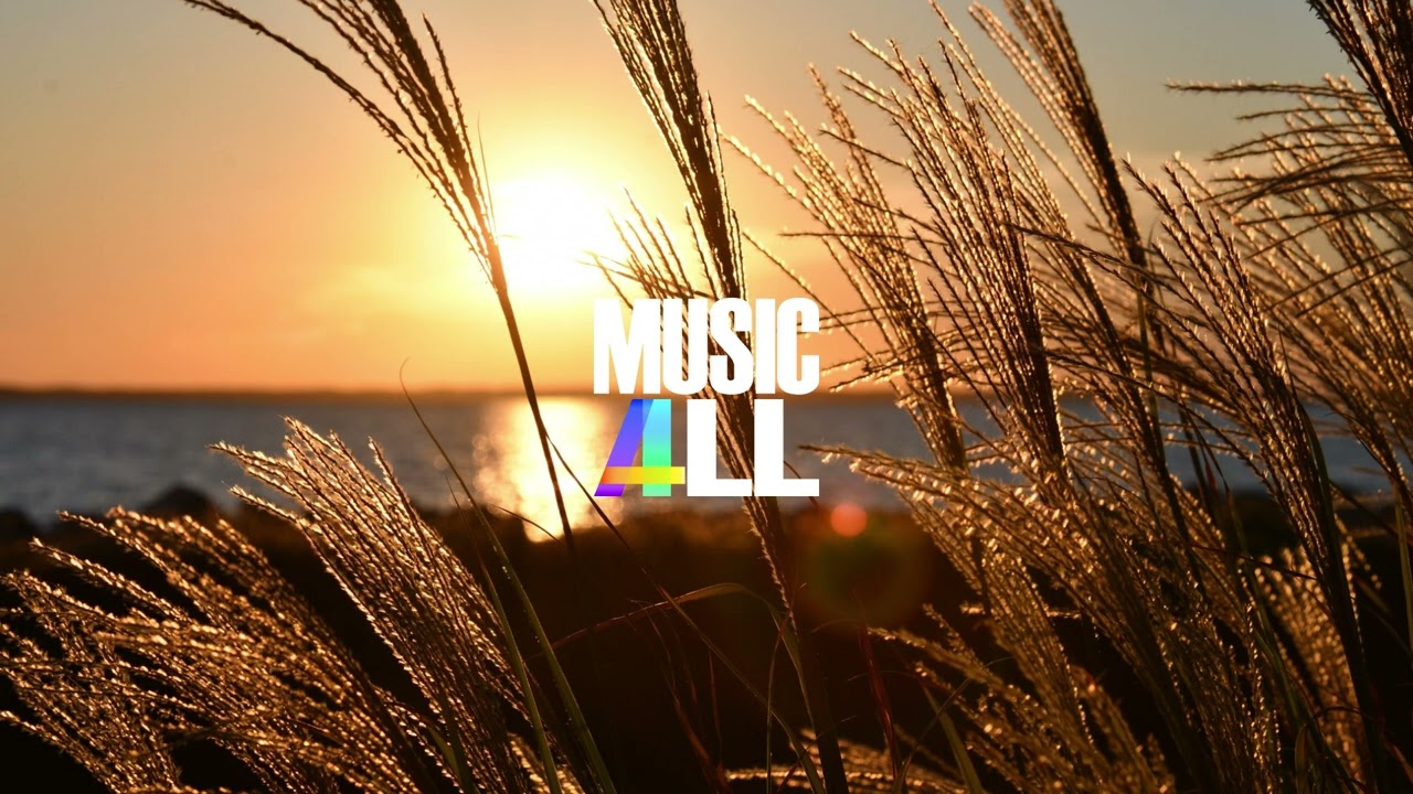 LiQWYD - Closer [Vlog No Copyright Music]