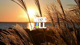 LiQWYD - Closer [Vlog No Copyright Music]