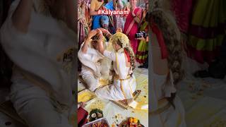 Indian Marriage Rituals | One Of Many Flavors | #kalyanam