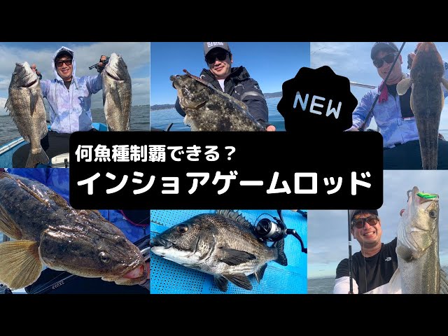 インショアゲームバーサタイルロッドの使いどころは？ - YouTube