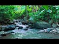 🌿 Relaxing River Flow Sounds for Sleep, Focus and Calm Background 🎧