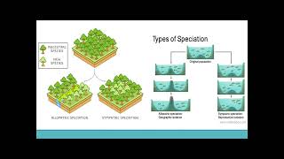Macroevolution - DCNM