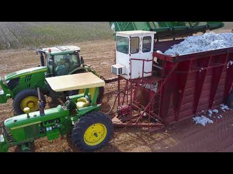 Boll Buggy Unload.