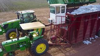 Boll Buggy Unload.