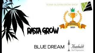 CANNAPEDIA PRO GROWERS CUP 2021🏆 - RASTA GROW