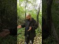 Не мешайте людям отдыхать на природе в лесу
