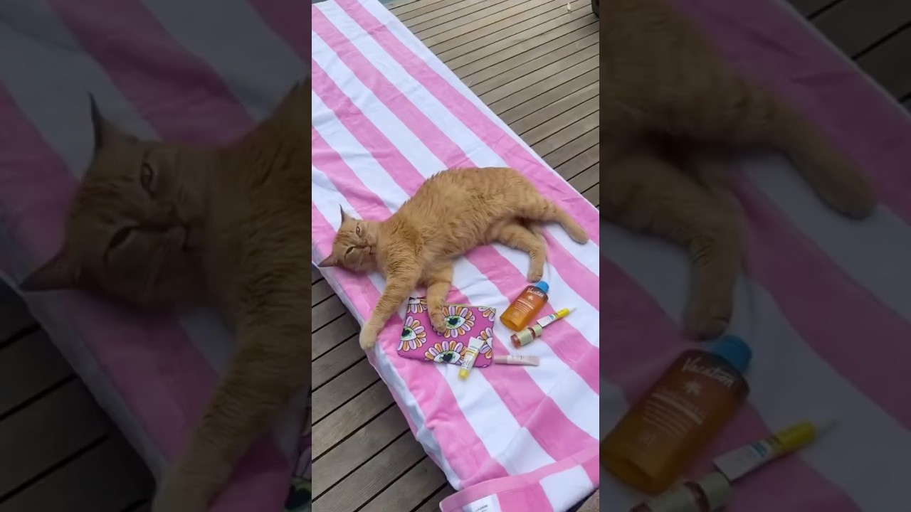 *CONFIRMED* OFFICIAL JUNE 2025 IPSY GLAM BAG Design, Inspo, Mystery Bags, Real Look & More Spoilers