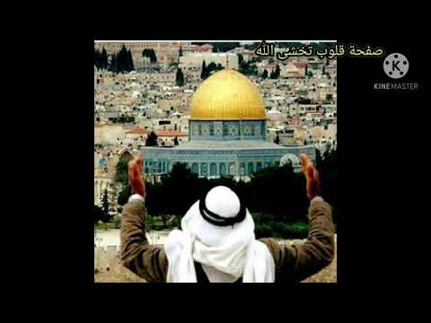 مديح القدس نادت بصوت المداح السيد حمزة المسعودي 