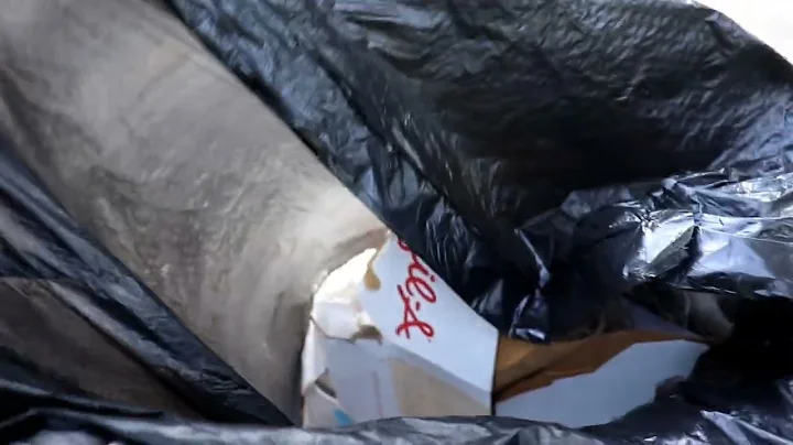 Virtual Community Service 5 Hours Log