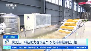 [第一时间]黑龙江：科技助力春耕生产 水稻浸种催芽已开始| 财经风云