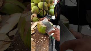 Green coconut cutting skill! #shorts #streetfood #viral #fruit #coconut #explore