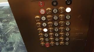 Beautiful & Fun 1982 Dover Traditional Traction Elevators at The Hilton Hotel in Lexington, KY