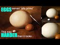 OIL PAINTING TUTORIAL FOR BEGINNERS: Painting a simple Egg (x3) ALLA PRIMA style!