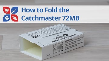 How to Fold Catchmaster 72MB Glue Board | DoMyOwn.com