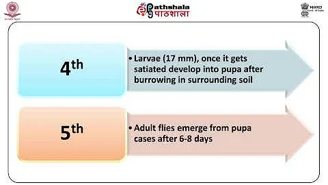 M-08.Forensic Entomology